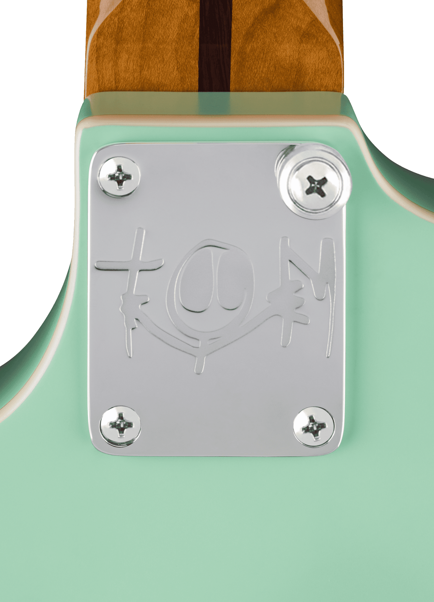 Fender Tom Delongue Starcaster