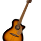 Fender Newporter Player, Sunburst