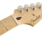 PLAYER STRATOCASTER - Maple Fingerboard, Black
