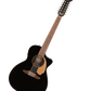 Fender VILLAGER 12-STRING